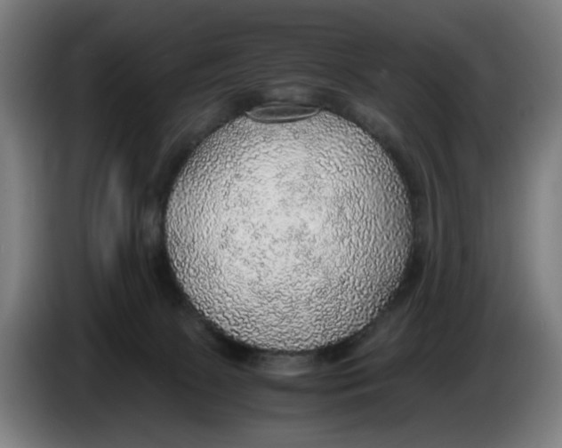 X0000086230081200704191809