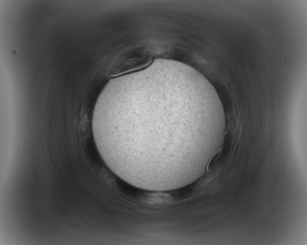 X0000086230087200704191809