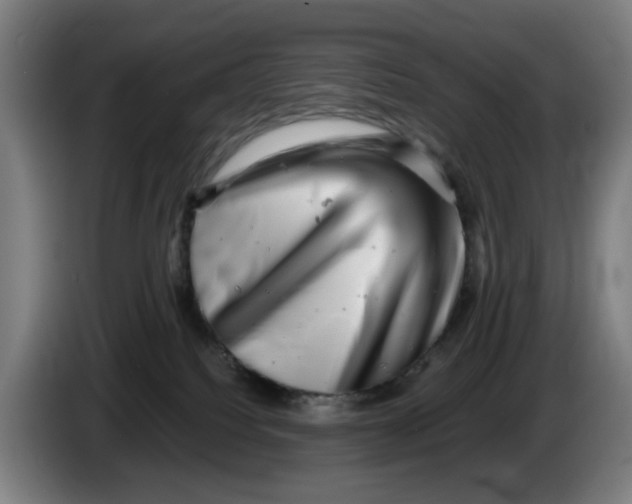 X0000086230088200704191809