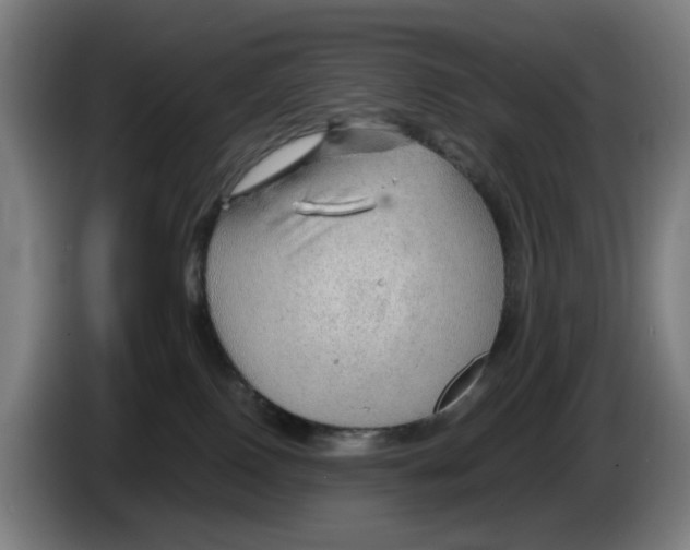 X0000086230090200704191809