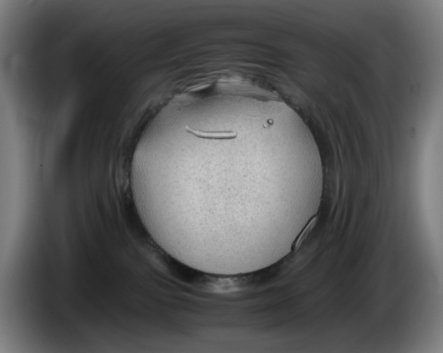 X0000086230091200704191809