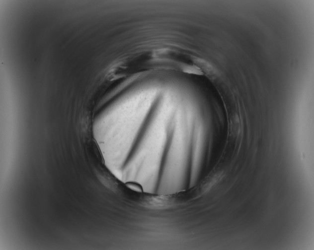 X0000086230092200704191809