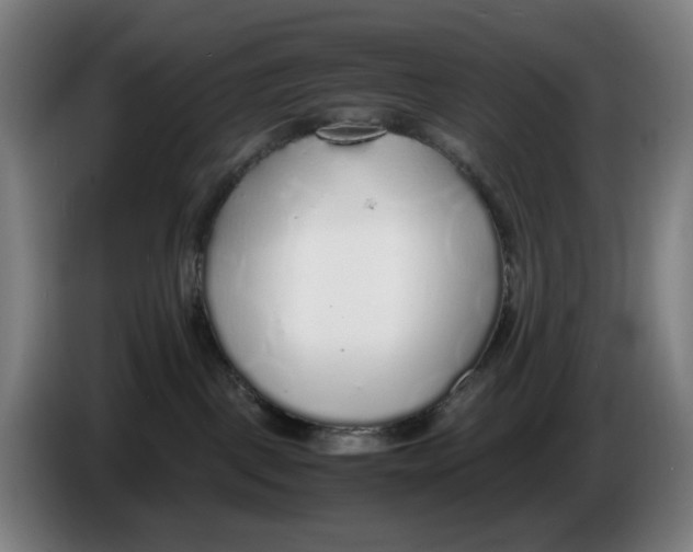 X0000086230093200704191809