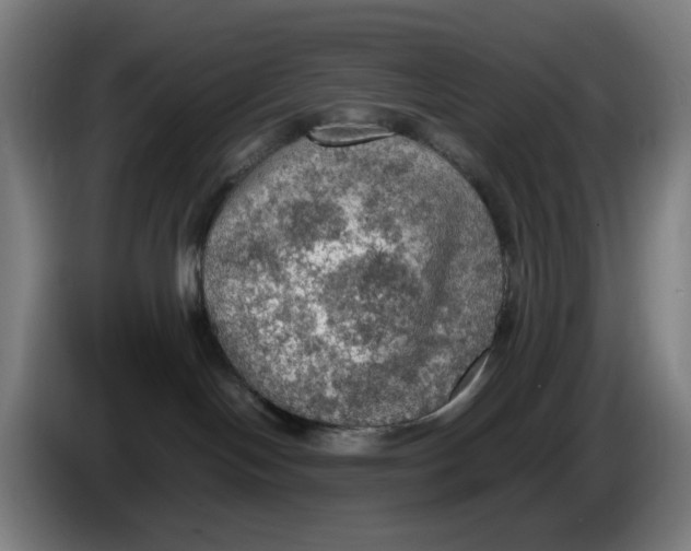 X0000086230094200704191809