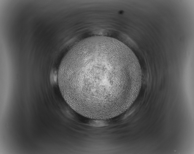 X0000086230095200704191809