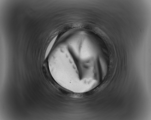 X0000086230096200704191809