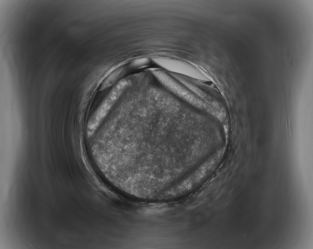 X0000086230097200704191808