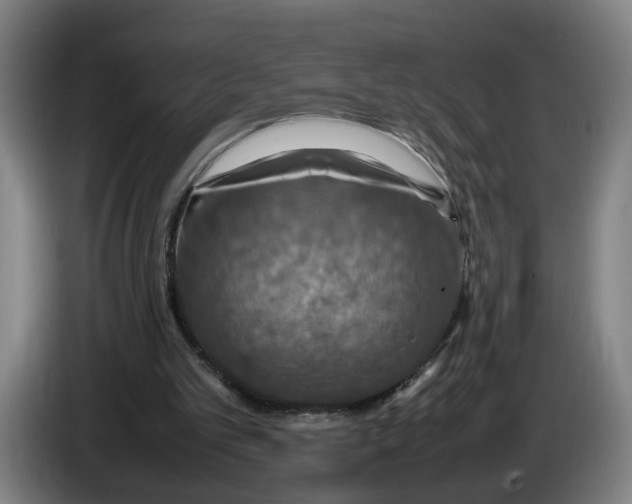 X0000086230101200704191808