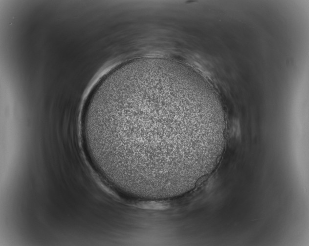 X0000086230102200704191808