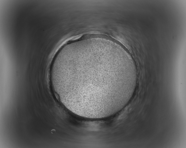 X0000086230103200704191808