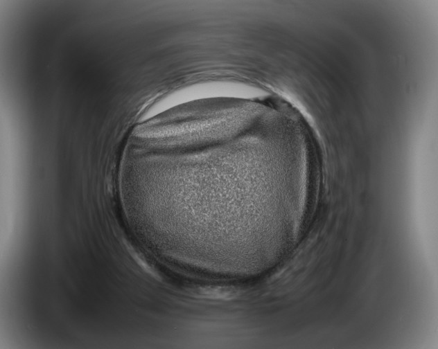 X0000086230105200704191808