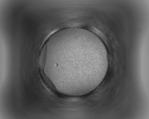 X0000086230107200704191808