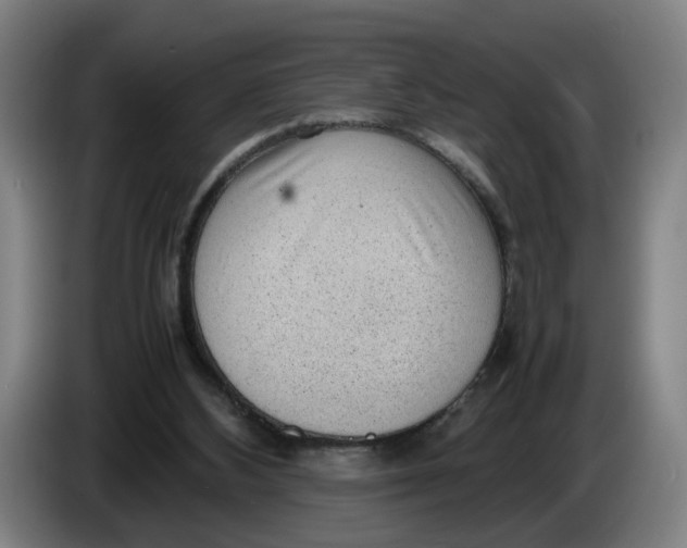 X0000086230108200704191808