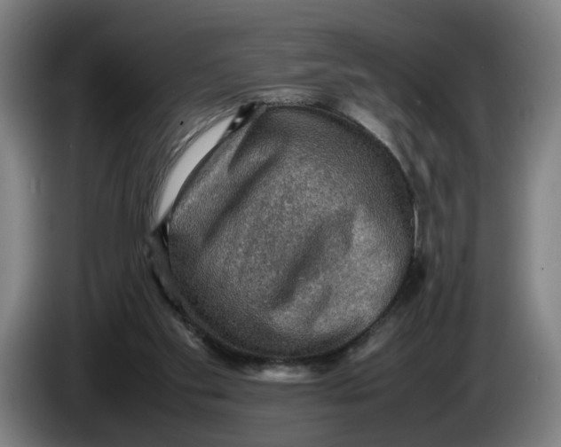 X0000086230109200704191808