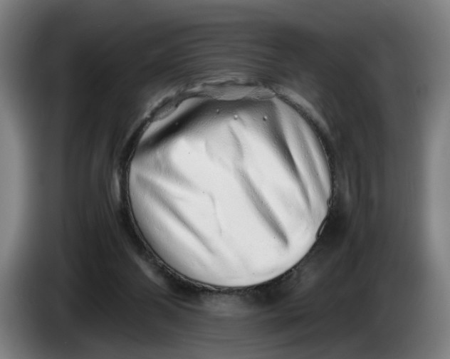 X0000086230110200704191808