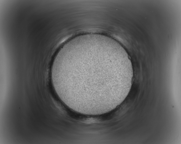 X0000086230111200704191808