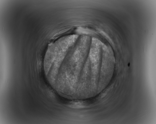 X0000086230113200704191808