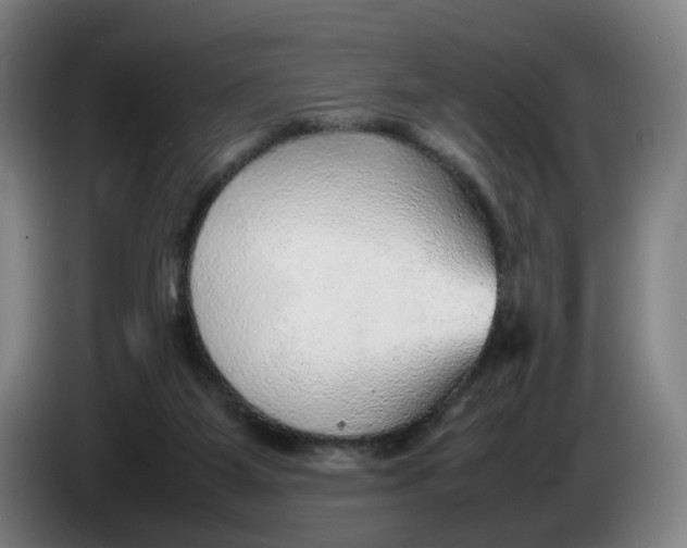 X0000086230115200704191808