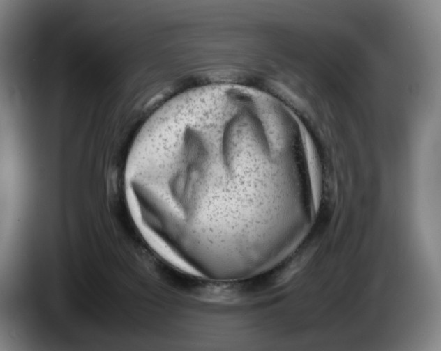 X0000086230117200704191808