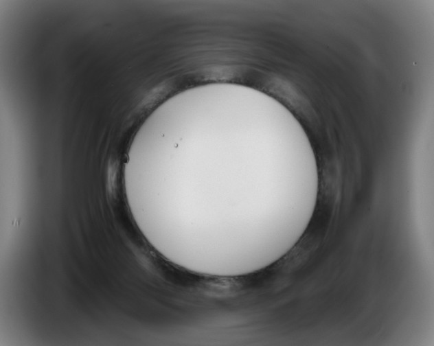 X0000086230118200704191808