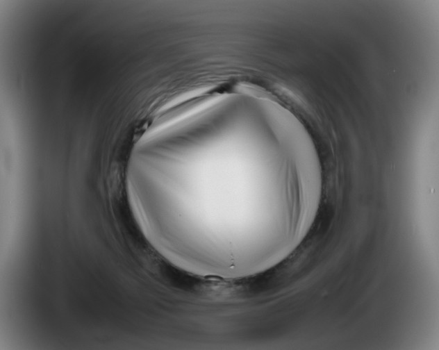 X0000086230121200704191808