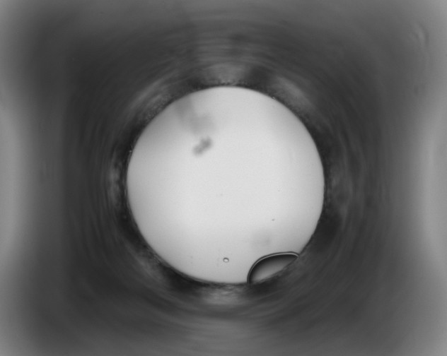 X0000086230122200704191808