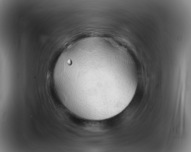 X0000086230123200704191808