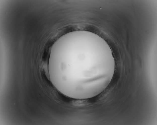 X0000086230129200704191808