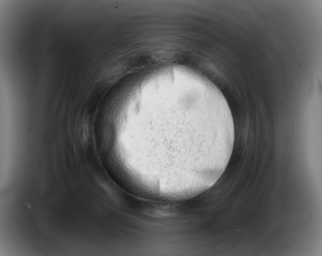 X0000086230130200704191808