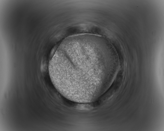 X0000086230137200704191808