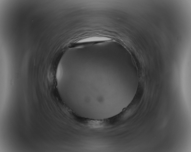 X0000086230139200704191808