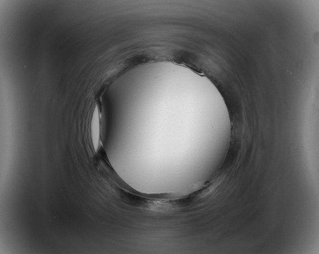 X0000086230141200704191808