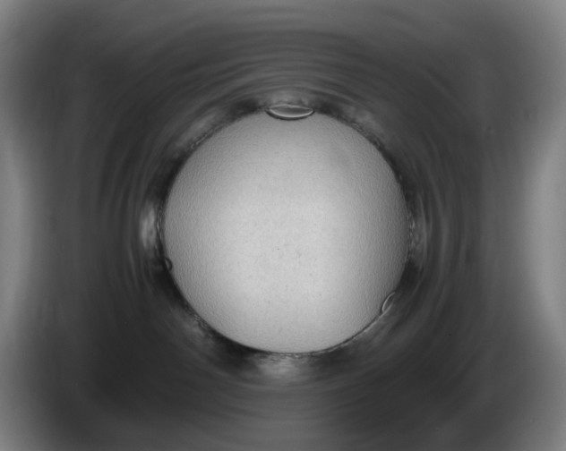 X0000086230142200704191808