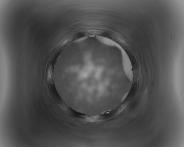 X0000086230143200704191808