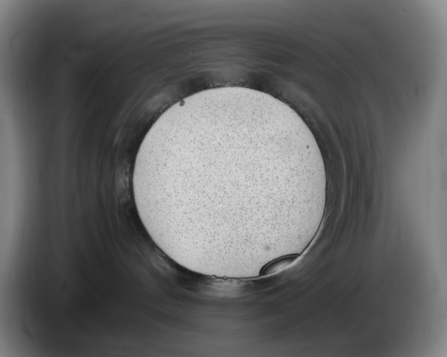 X0000086230144200704191808