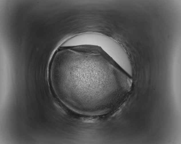 X0000086230148200704191807