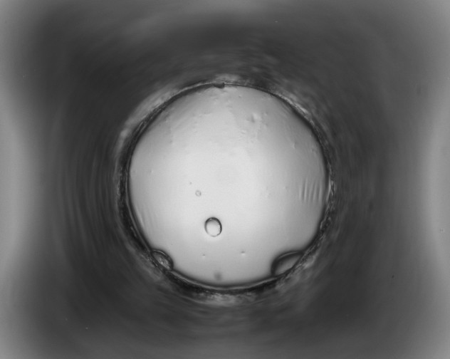 X0000086230149200704191807