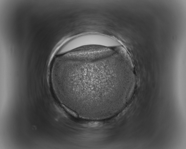 X0000086230152200704191807