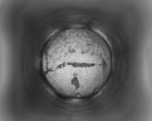 X0000086230153200704191807