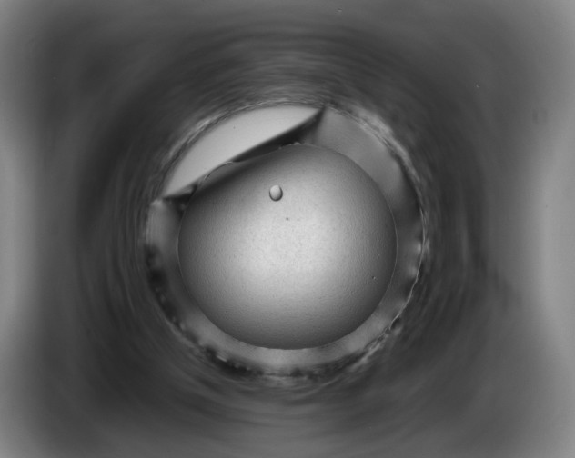 X0000086230154200704191807