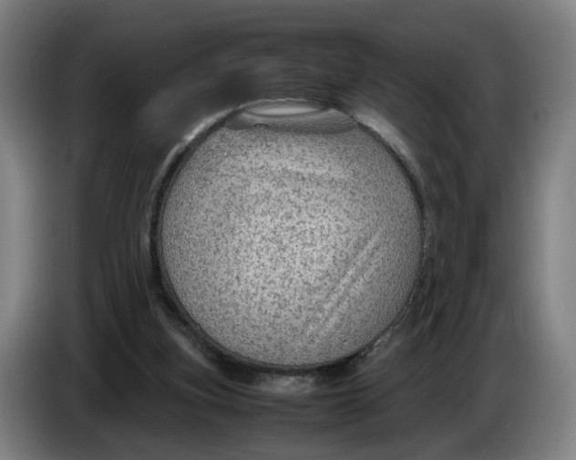 X0000086230155200704191807