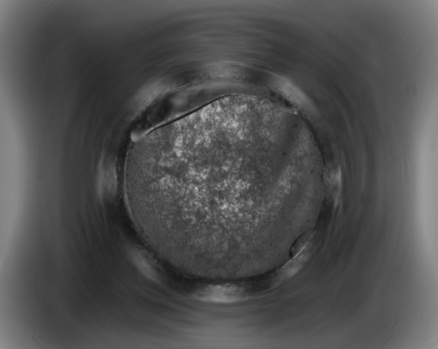 X0000086230158200704191807