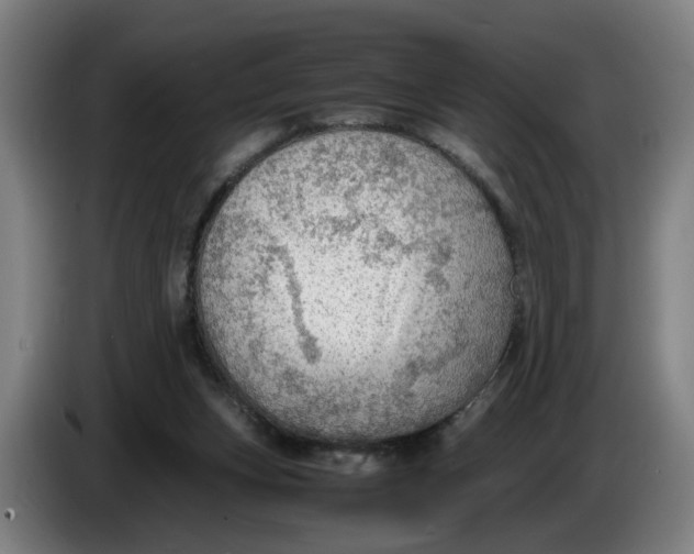 X0000086230159200704191807