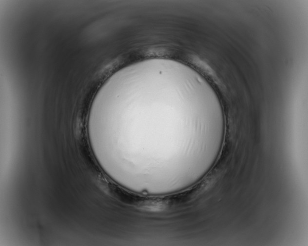 X0000086230161200704191807