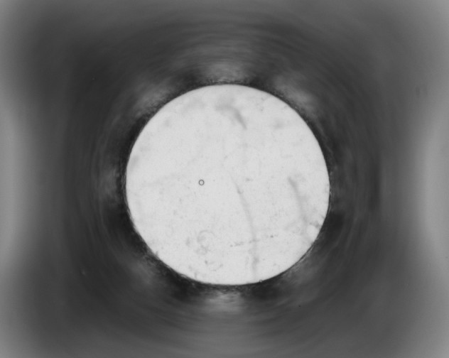 X0000086230162200704191807