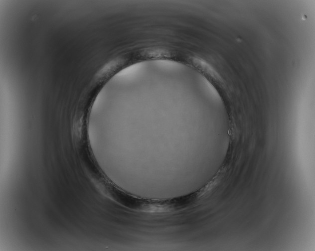 X0000086230163200704191807