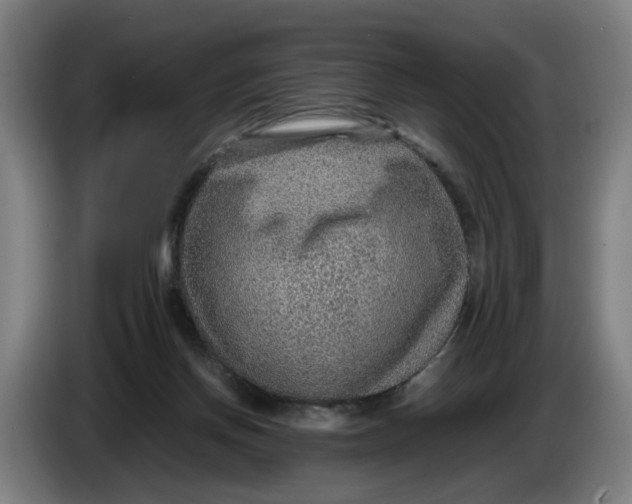 X0000086230166200704191807