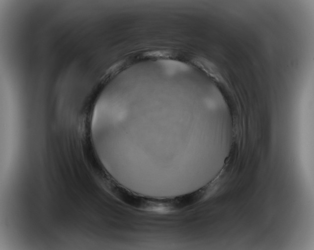 X0000086230167200704191807