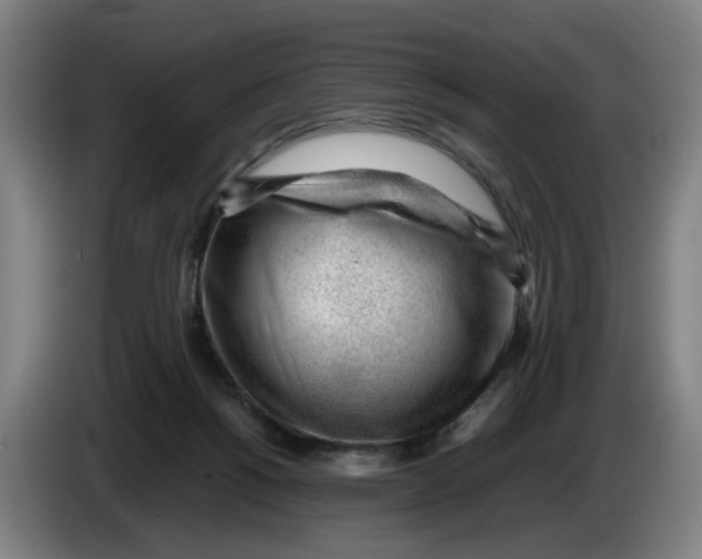 X0000086230168200704191807