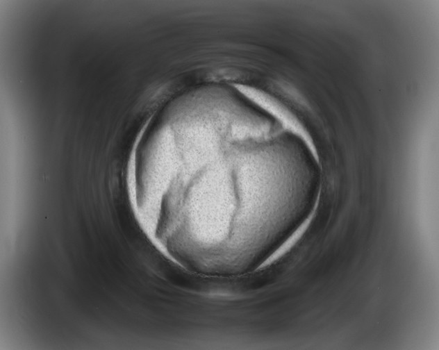 X0000086230169200704191807